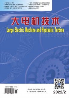 大电机技术